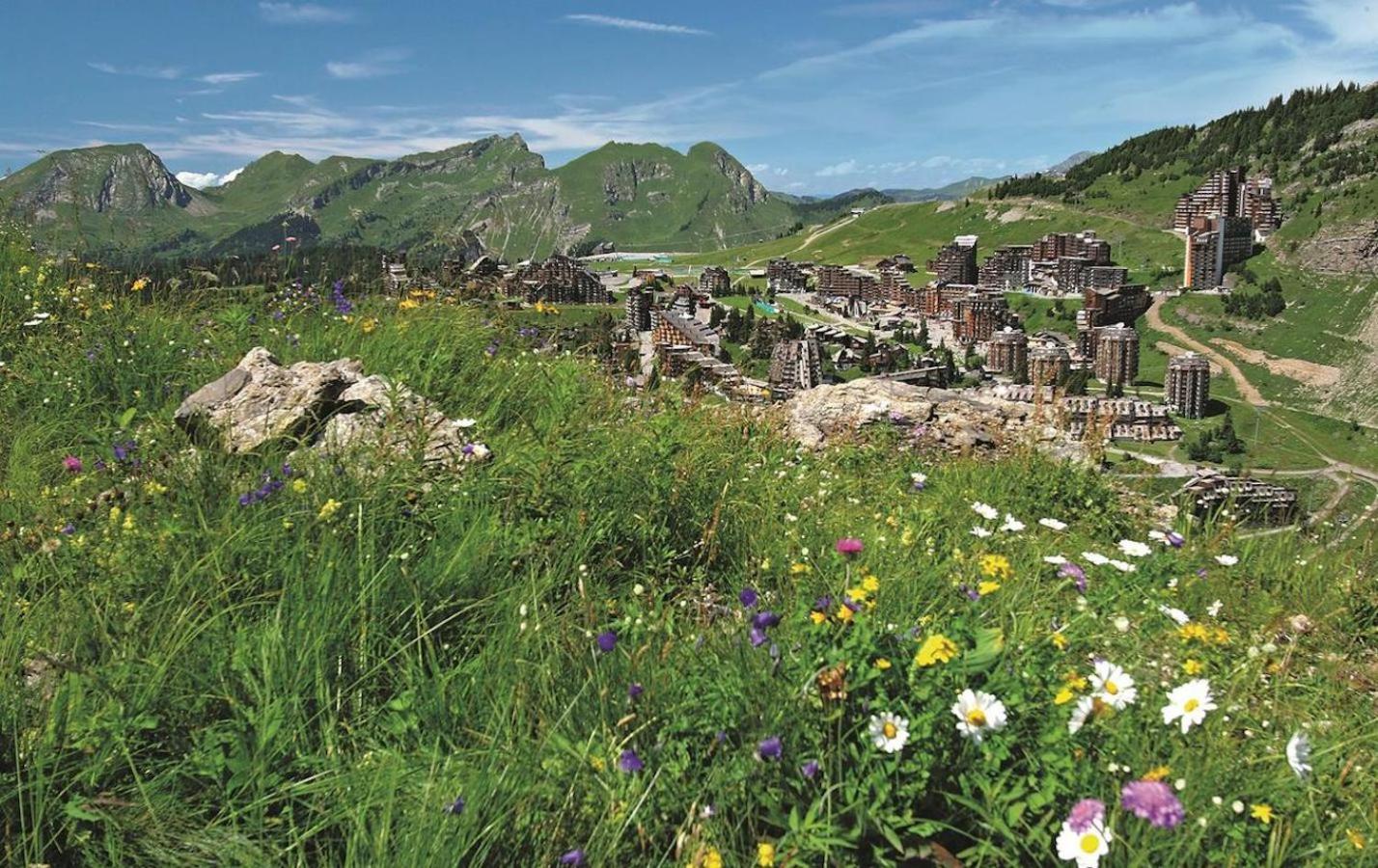 Saskia Falaise - Ferienhaus Avoriaz